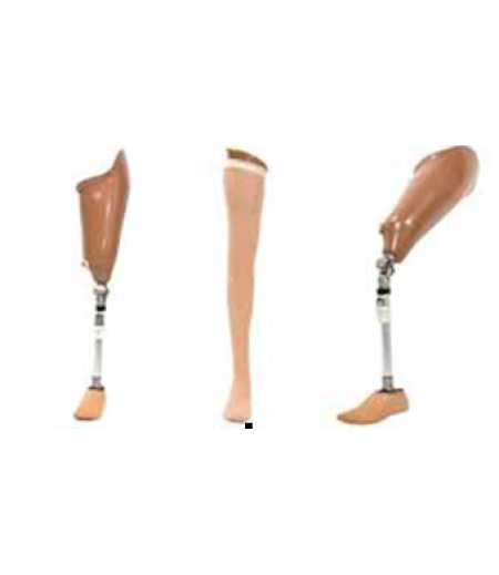 BASIC TF PROSTHESIS WITH FINAL COSMETIC FINISHING