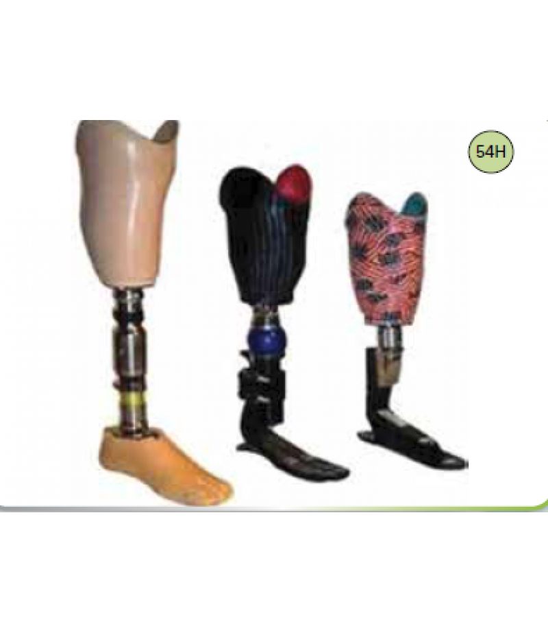 DIFFERENT TYPES OF TT PROSTHESIS