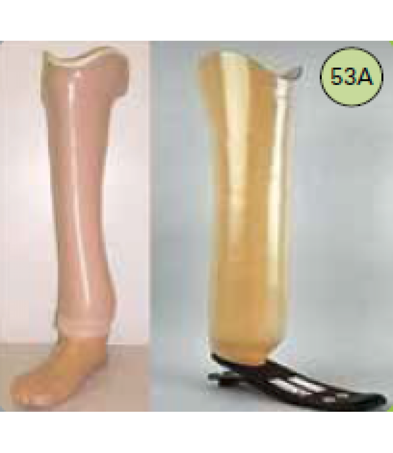 SYMES PROSTHESIS