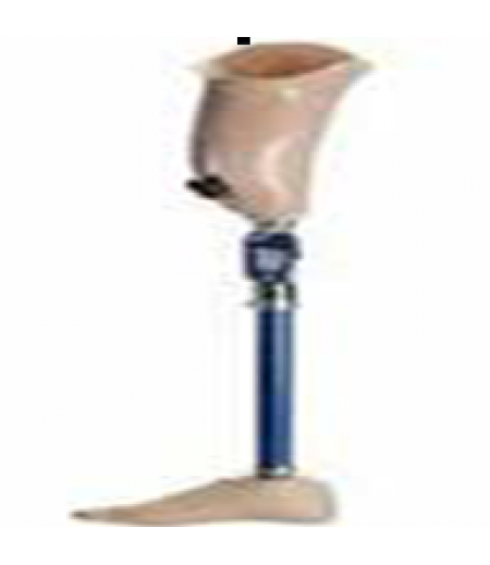 TF PROSTHESIS WITH HYDRAULIC KNEE