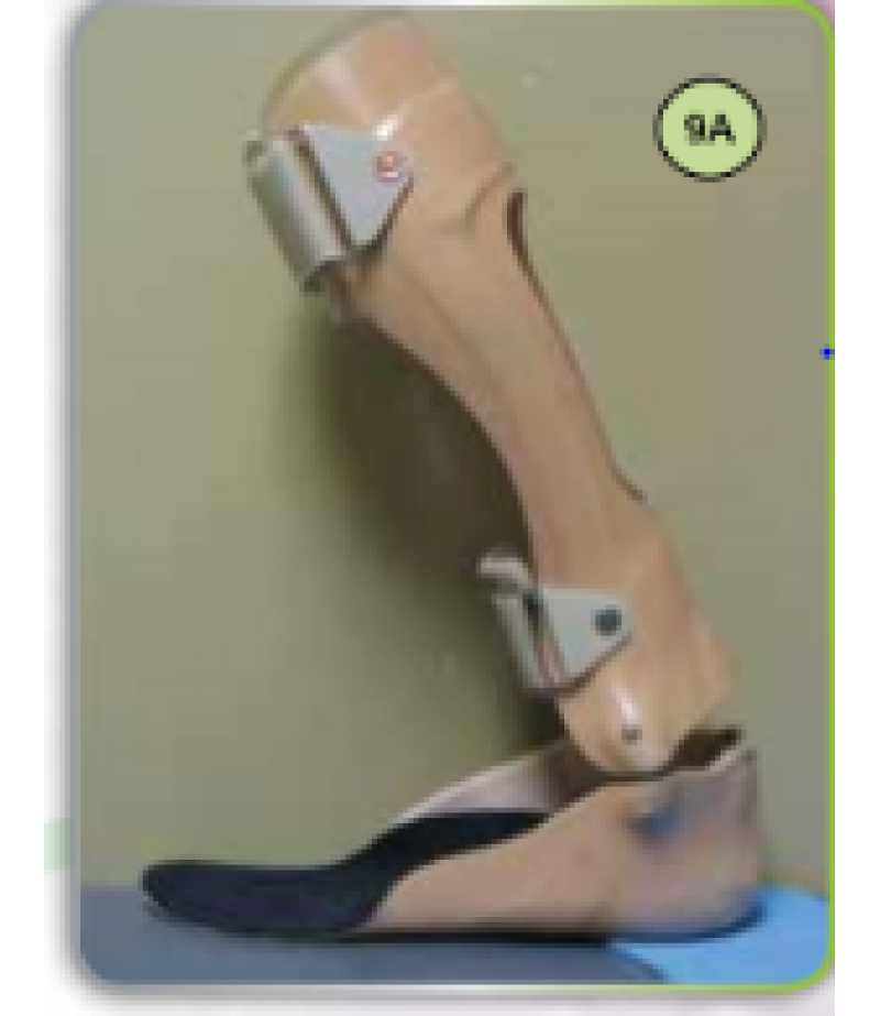 LAMINATED CUSTOM MADE DYNAMIC ANKLE FOOT ORTHOSIS