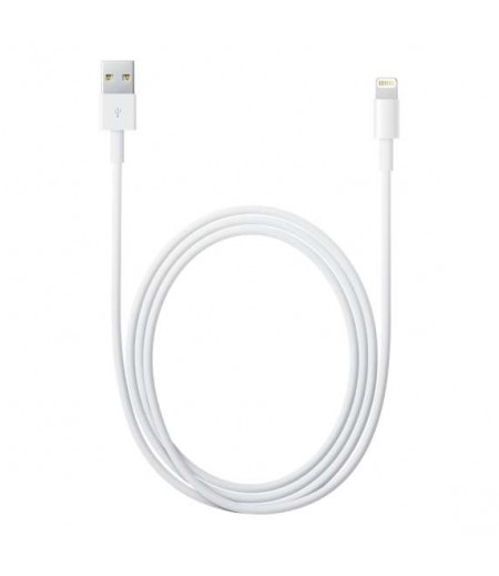 APPLE LIGHTNING TO USB 1MTR MD818