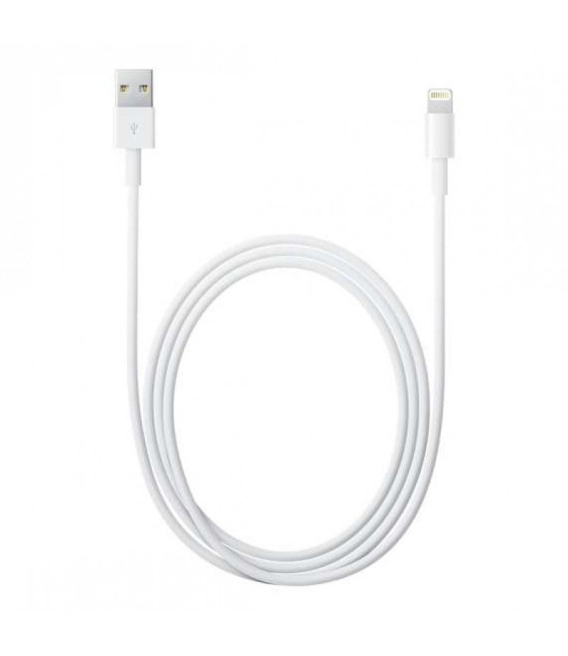 APPLE LIGHTNING TO USB 1MTR MD818